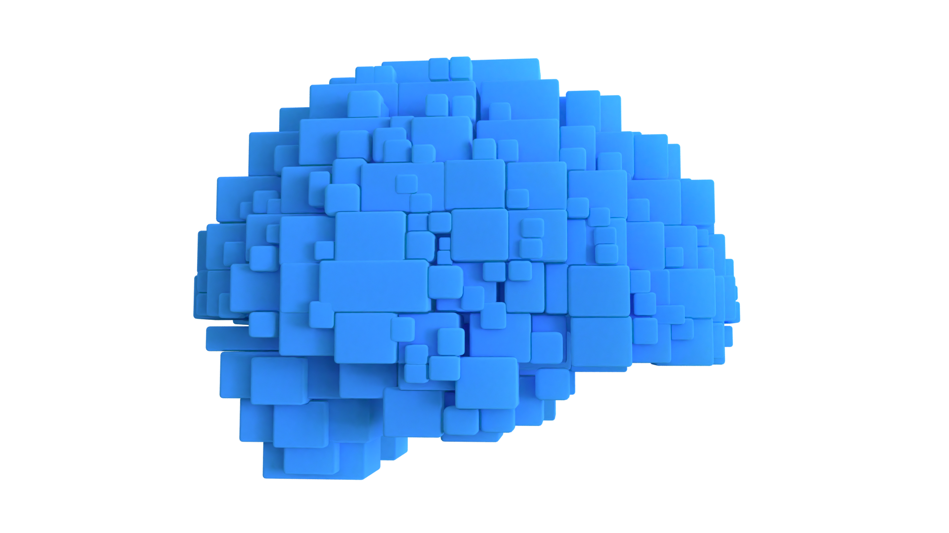Brain blocks multiscale visualization